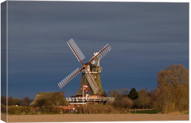 Oldsum Windmill Canvas Print by Arterra 