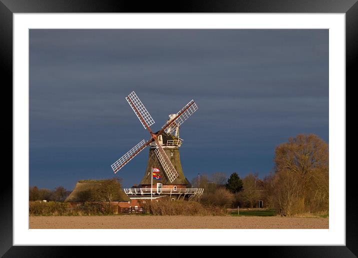 Oldsum Windmill Framed Mounted Print by Arterra 