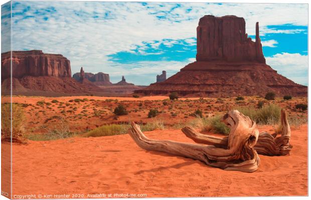 Dead Tree at Monument Valley Canvas Print by Ken Hunter