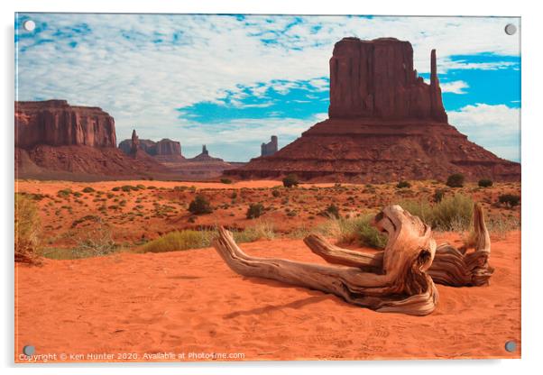Dead Tree at Monument Valley Acrylic by Ken Hunter