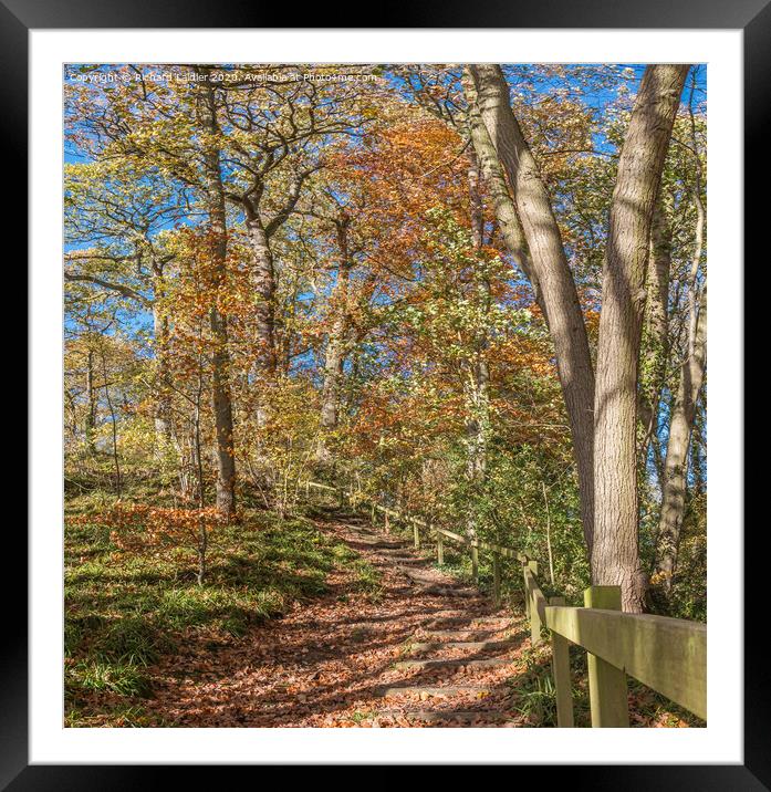 Stairway Through The Woods in Autumn Framed Mounted Print by Richard Laidler