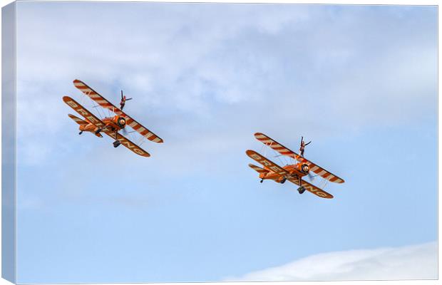 Wingwalkers Canvas Print by David French