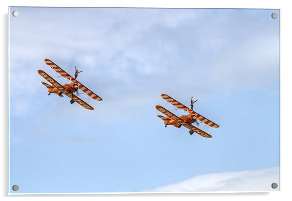 Wingwalkers Acrylic by David French