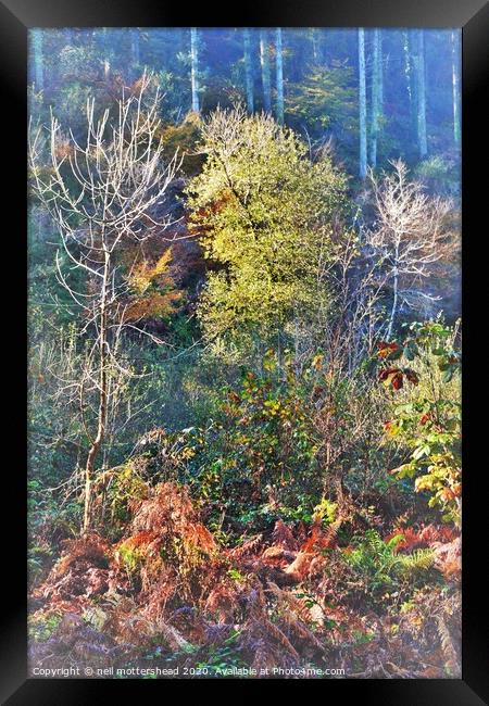 Cornish Autumn Colours, Framed Print by Neil Mottershead
