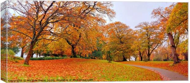 Autumn leaves Canvas Print by Michele Davis