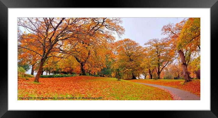 Autumn leaves Framed Mounted Print by Michele Davis