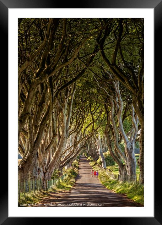 Dark hedges, Northern Ireland Framed Mounted Print by jim Hamilton