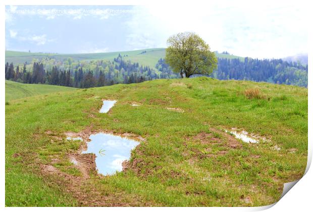 Beautiful spring landscape of the Carpathian Mountains after a warm rain. Print by Sergii Petruk