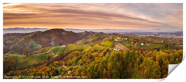 Aerial panorama of Vineyard on an Austrian countryside with a church in the background Print by Przemek Iciak