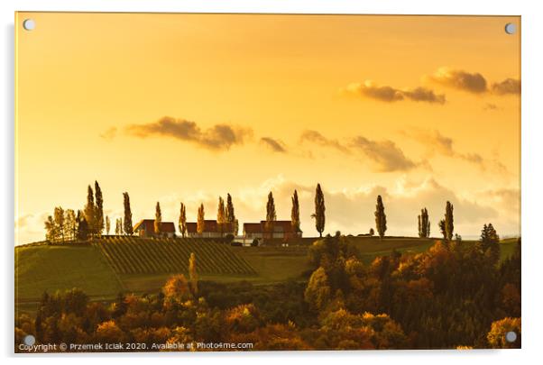 South styria vineyards landscape, Tuscany of Austria. Sunrise in autumn. Acrylic by Przemek Iciak