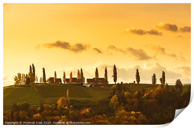 South styria vineyards landscape, Tuscany of Austria. Sunrise in autumn. Print by Przemek Iciak