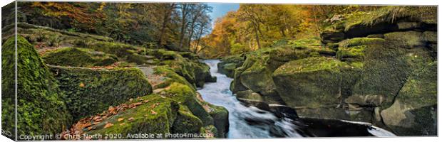The Strid on the  River Wharfe Canvas Print by Chris North