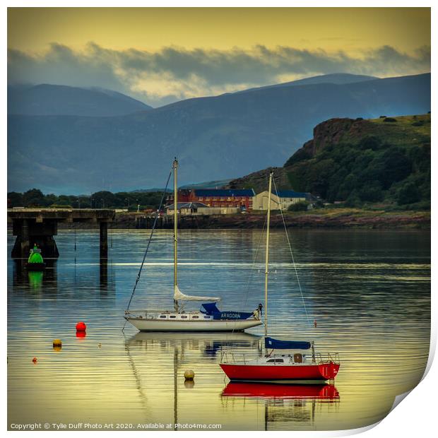 Moonlight On The Clyde At Fairlie Print by Tylie Duff Photo Art