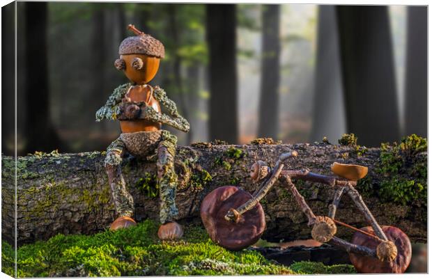 Little Acorn Photographer Taking a Break in Forest Canvas Print by Arterra 