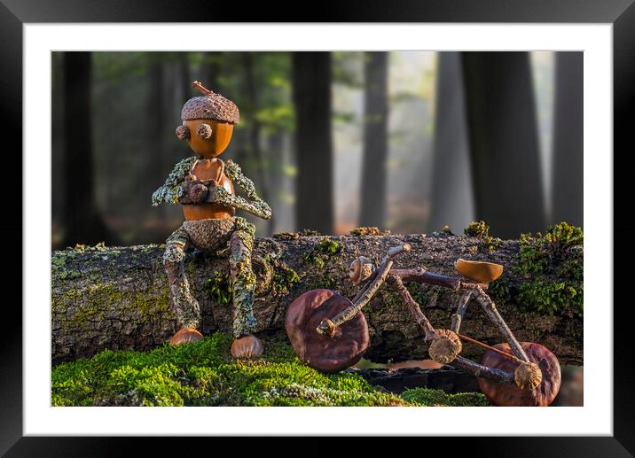 Little Acorn Photographer Taking a Break in Forest Framed Mounted Print by Arterra 