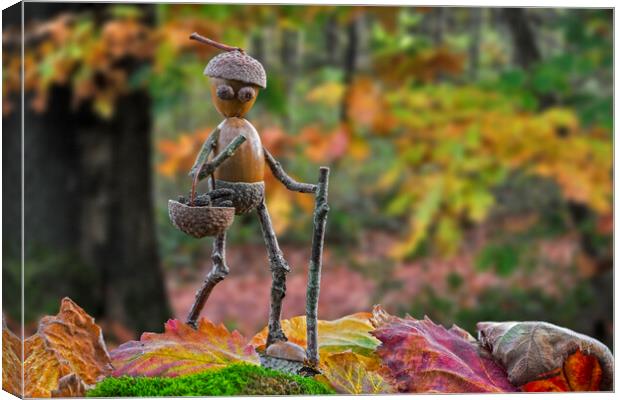 Little Acorn Man Walking in Autumn Forest Canvas Print by Arterra 
