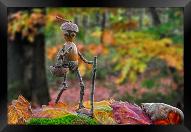 Little Acorn Man Walking in Autumn Forest Framed Print by Arterra 