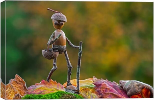 Little Acorn Man Walking in Autumn Canvas Print by Arterra 