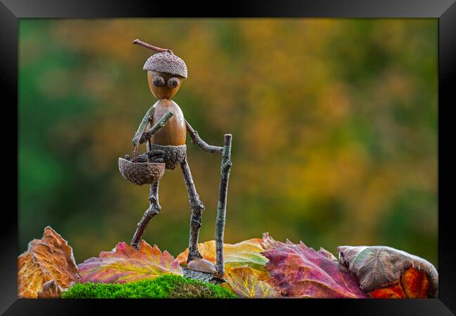 Little Acorn Man Walking in Autumn Framed Print by Arterra 