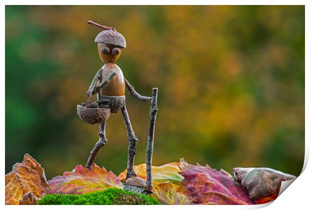 Little Acorn Man Walking in Autumn Print by Arterra 