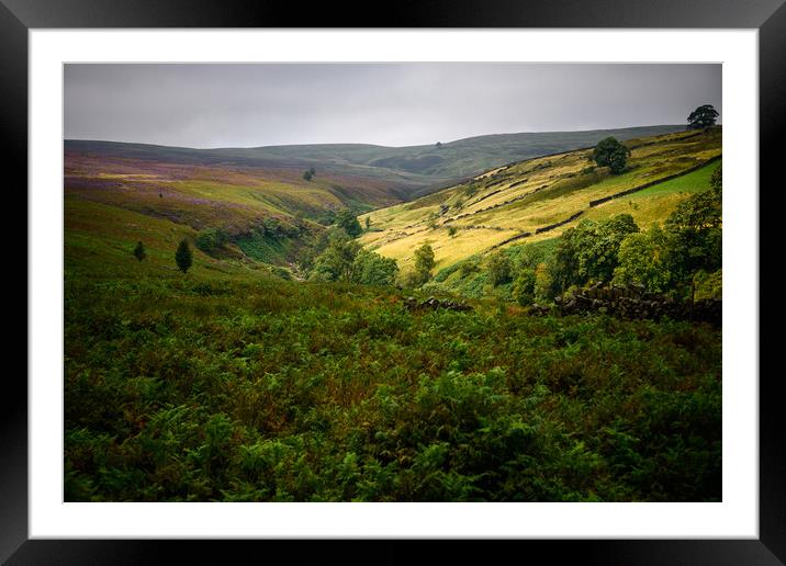 Yorkshire Hills Framed Mounted Print by Svetlana Sewell