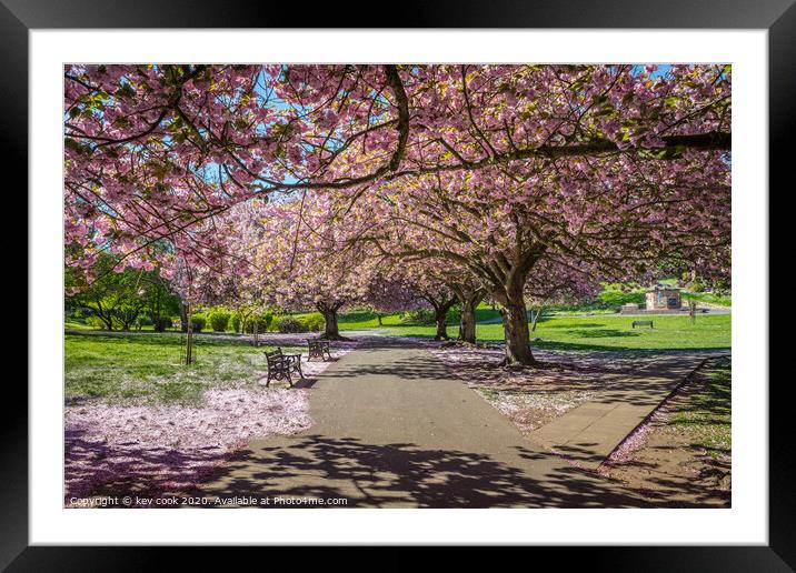 Valley Blossom Framed Mounted Print by kevin cook