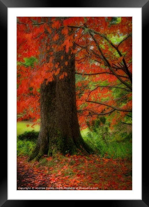 Dream of autumn Framed Mounted Print by Andrew Davies