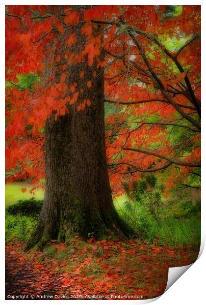Dream of autumn Print by Andrew Davies