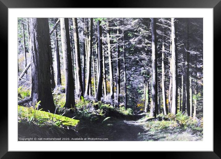 The Way Through The Woods. Framed Mounted Print by Neil Mottershead