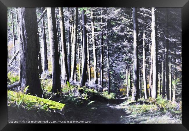 The Way Through The Woods. Framed Print by Neil Mottershead