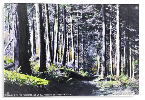 The Way Through The Woods. Acrylic by Neil Mottershead