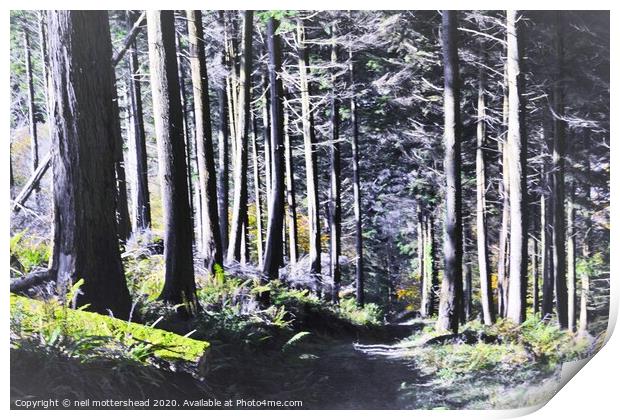 The Way Through The Woods. Print by Neil Mottershead