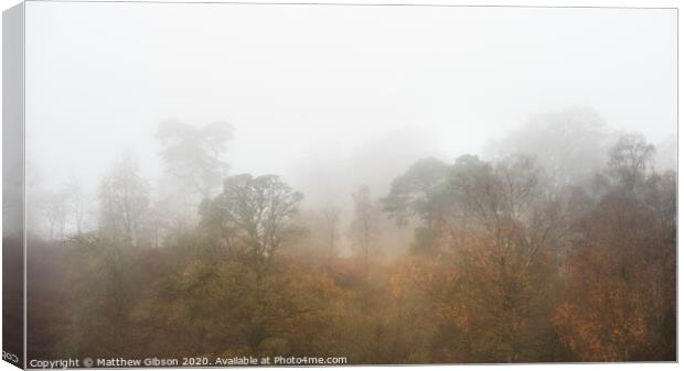 Beautiful mody Autumn Fall landscape of woodland with mist fog during early morning Canvas Print by Matthew Gibson