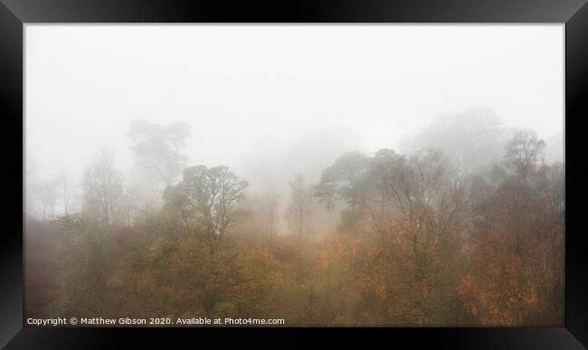 Beautiful mody Autumn Fall landscape of woodland with mist fog during early morning Framed Print by Matthew Gibson