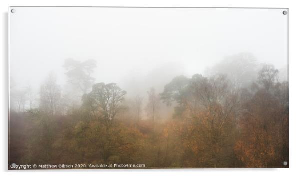 Beautiful mody Autumn Fall landscape of woodland with mist fog during early morning Acrylic by Matthew Gibson