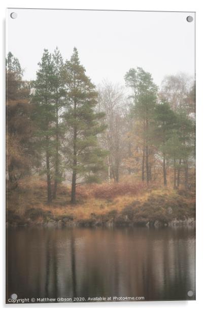 Beautiful mody Autumn Fall landscape of woodland and lake with mist fog during early morning Acrylic by Matthew Gibson