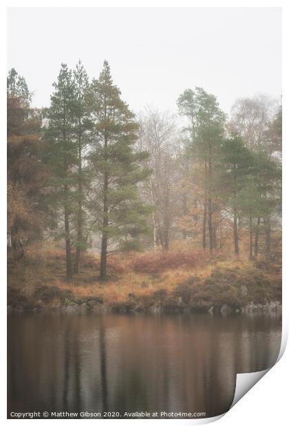 Beautiful mody Autumn Fall landscape of woodland and lake with mist fog during early morning Print by Matthew Gibson