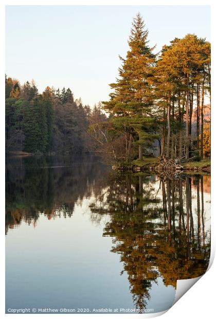 Beautiful landscape image of Tarn Hows in Lake District during beautiful Autumn Fall evening sunset with vibrant colours and still waters Print by Matthew Gibson