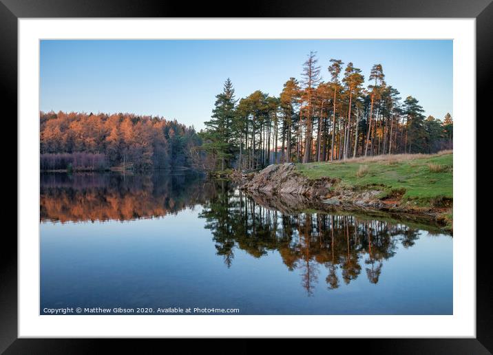 Beautiful landscape image of Tarn Hows in Lake District during beautiful Autumn Fall evening sunset with vibrant colours and still waters Framed Mounted Print by Matthew Gibson