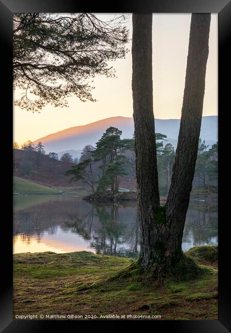 Beautiful landscape image of Tarn Hows in Lake District during beautiful Autumn Fall evening sunset with vibrant colours and still waters Framed Print by Matthew Gibson