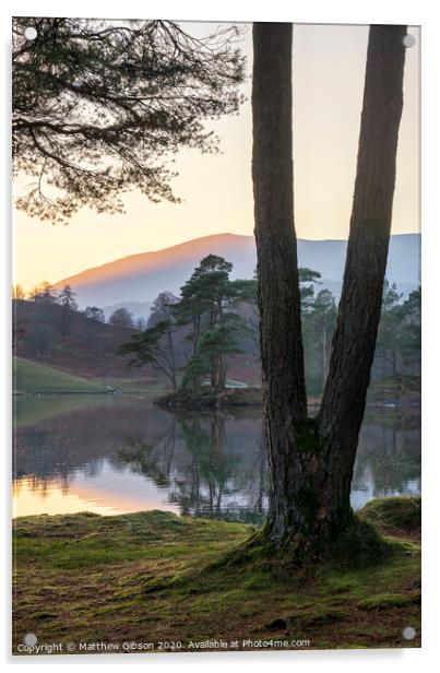 Beautiful landscape image of Tarn Hows in Lake District during beautiful Autumn Fall evening sunset with vibrant colours and still waters Acrylic by Matthew Gibson