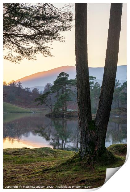 Beautiful landscape image of Tarn Hows in Lake District during beautiful Autumn Fall evening sunset with vibrant colours and still waters Print by Matthew Gibson