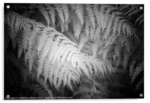 Stunning black and white detail infra red image of forest fern leaf in landscape Acrylic by Matthew Gibson