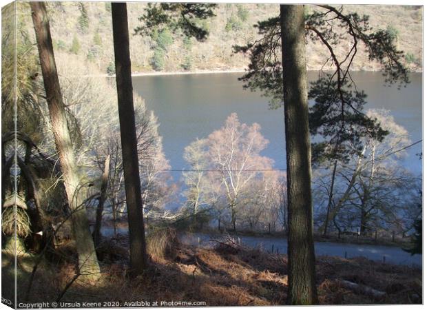 Through the trees to Caban Coch Reservoir  Canvas Print by Ursula Keene