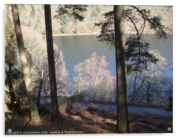 Through the trees to Caban Coch Reservoir  Acrylic by Ursula Keene