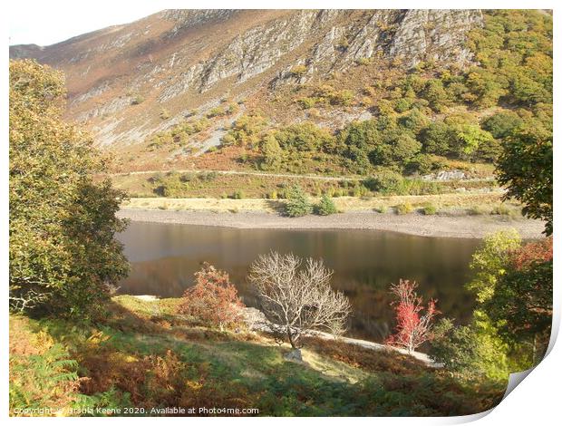 Shores of Reservoir in Elan Valley Wales  Print by Ursula Keene