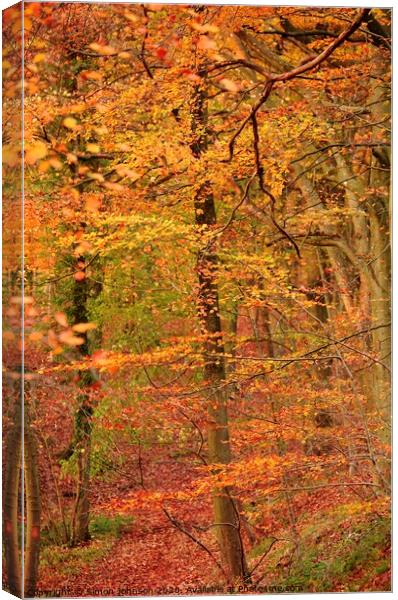 Autumn Colour Canvas Print by Simon Johnson