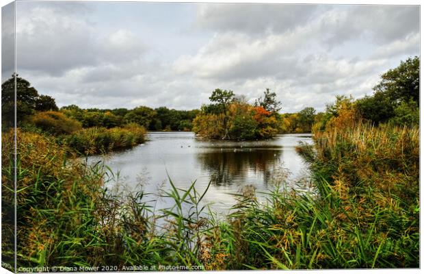 Connaught Water Epping Forest London Canvas Print by Diana Mower