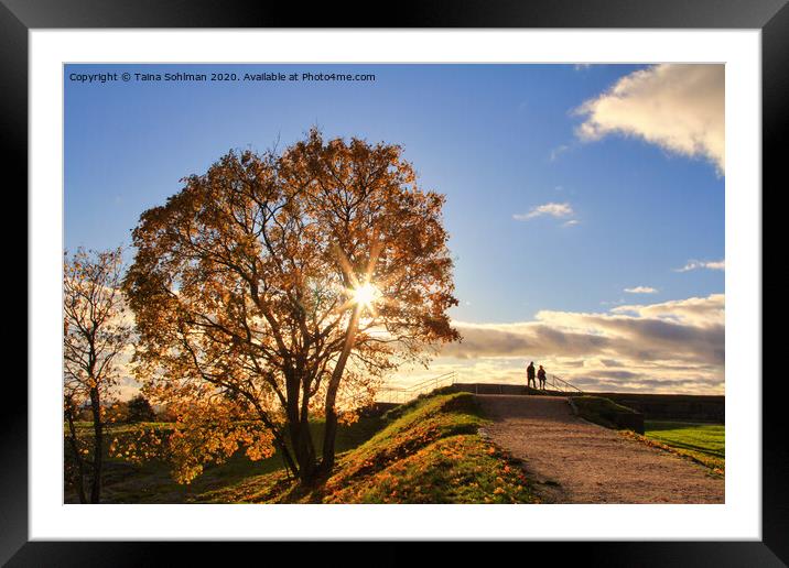 Peaceful Walk in Autumnal Park Framed Mounted Print by Taina Sohlman