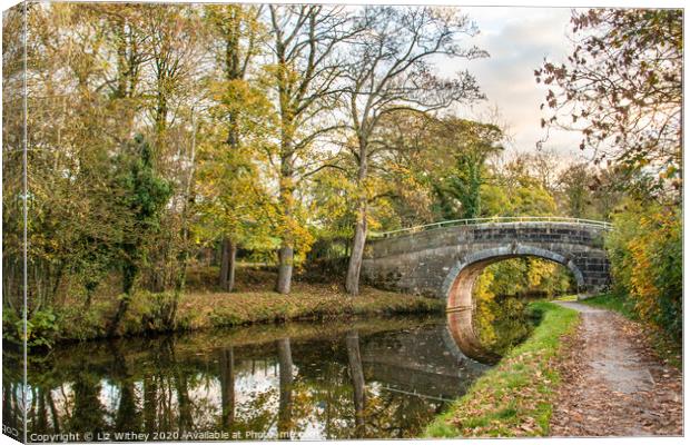 Lancaster Canal, Carnforth Canvas Print by Liz Withey